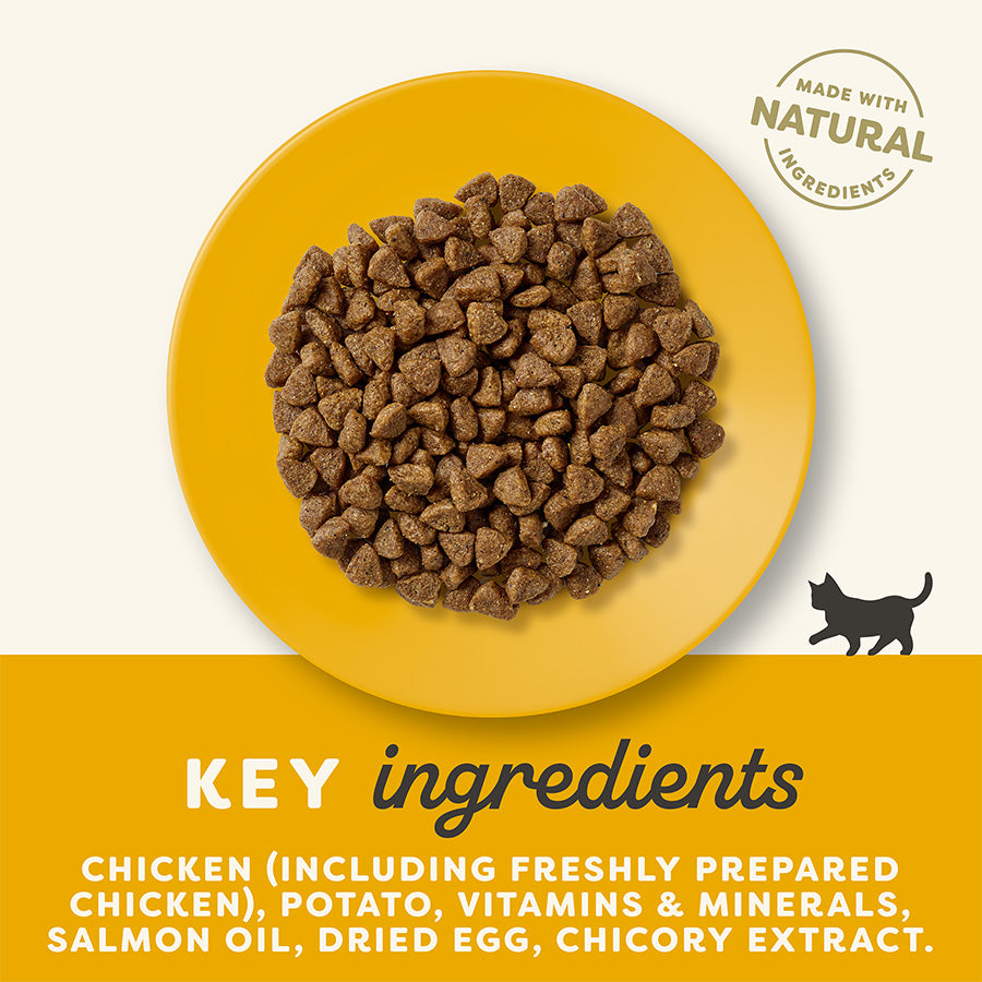 Applaws Kitten Grain Free Dry Food